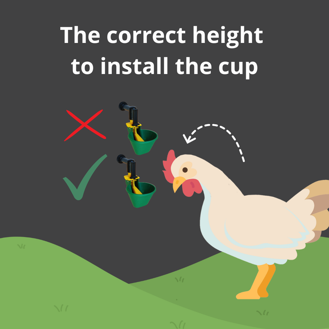 AviAqua Bakjes afbeelding 4