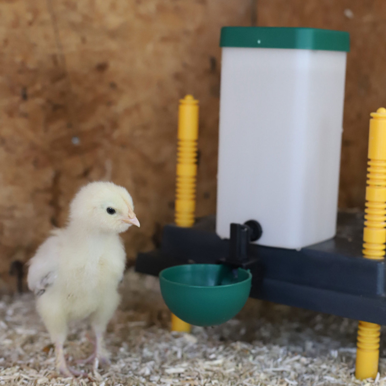 Drinkfles 1L Swingcup afbeelding 2