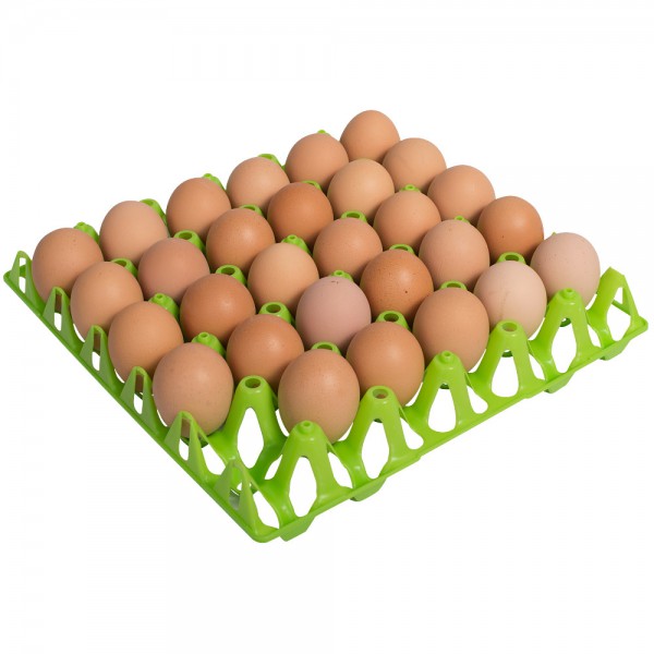 Eiertray groen 30 eieren afbeelding 2