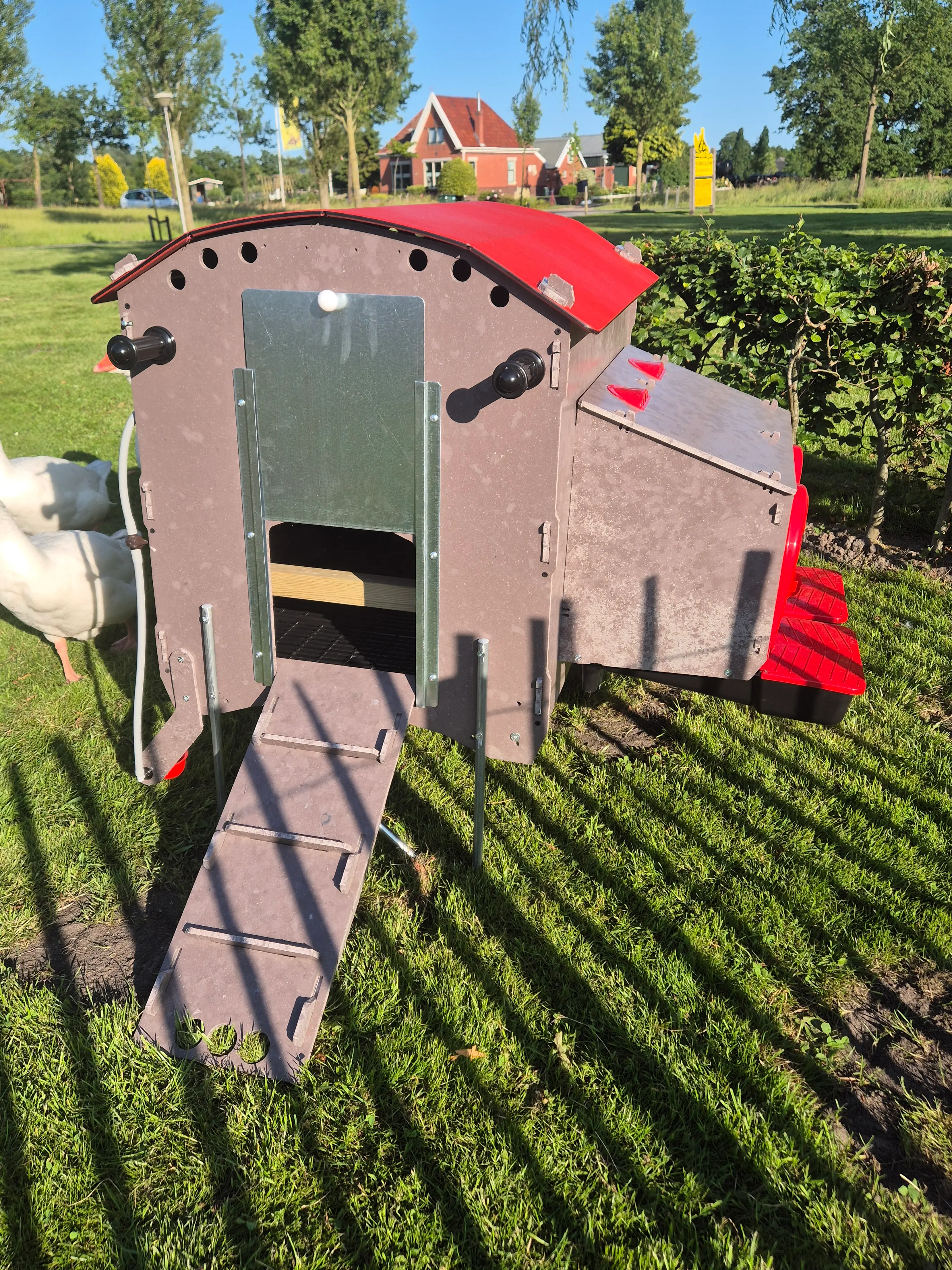 Kippen Caravan Medium afbeelding 4