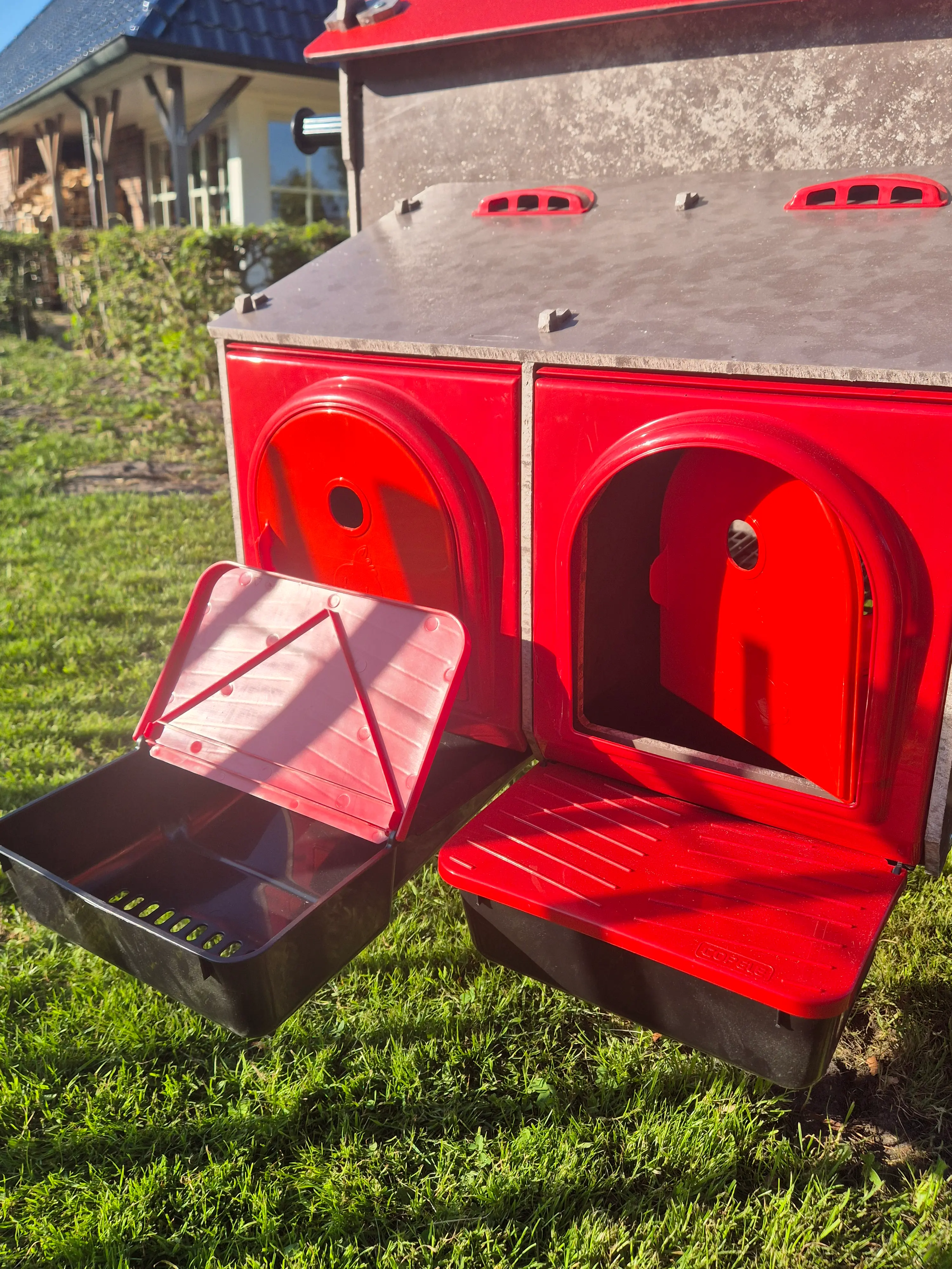 Kippen Caravan Medium afbeelding 6