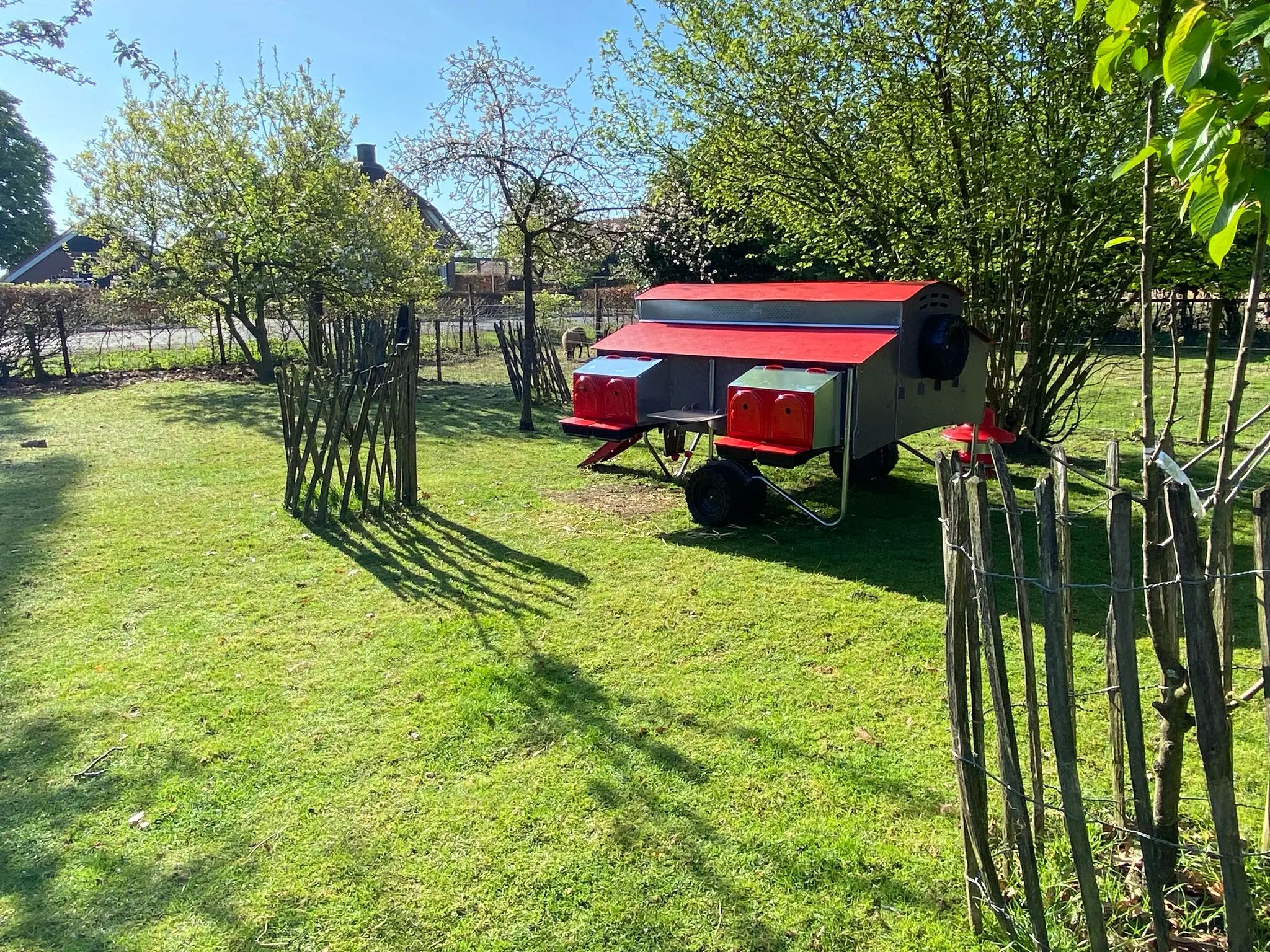 Kippen Caravan XL afbeelding 5