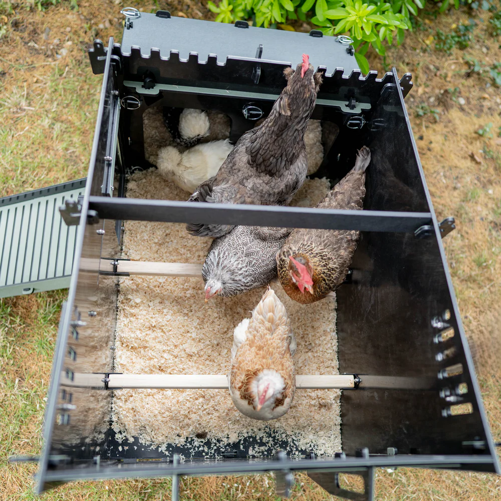 Nestera Aspen 6 afbeelding 8