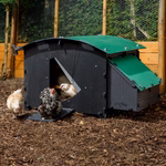 Nestera House Large afbeelding 5