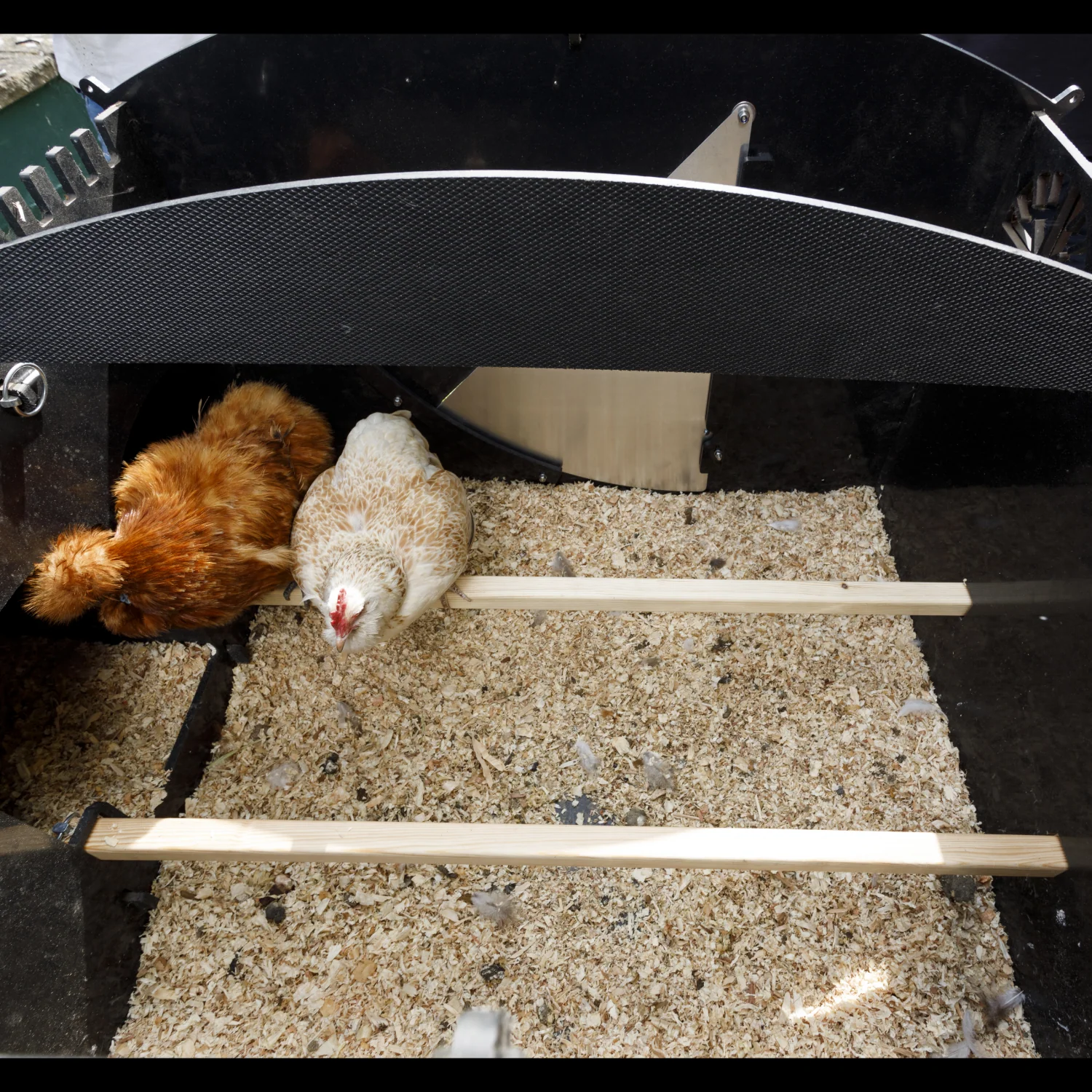 Nestera Lodge Large afbeelding 8