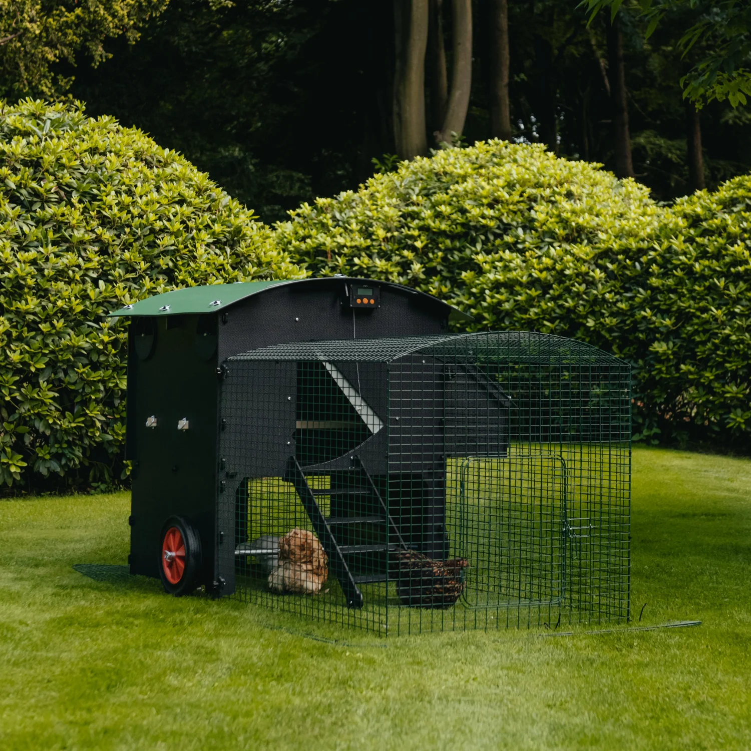 Nestera Penthouse Large afbeelding 6