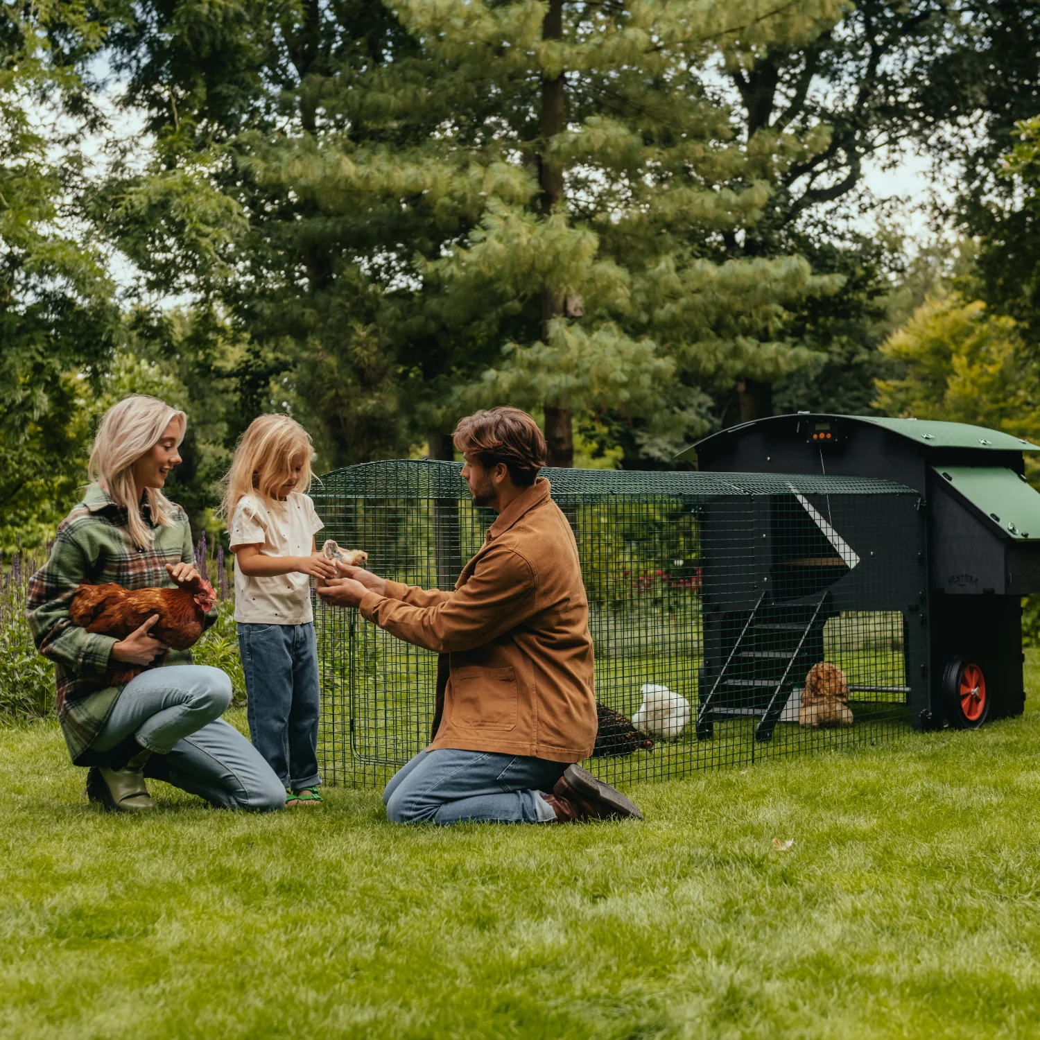 Nestera Penthouse Large afbeelding 7