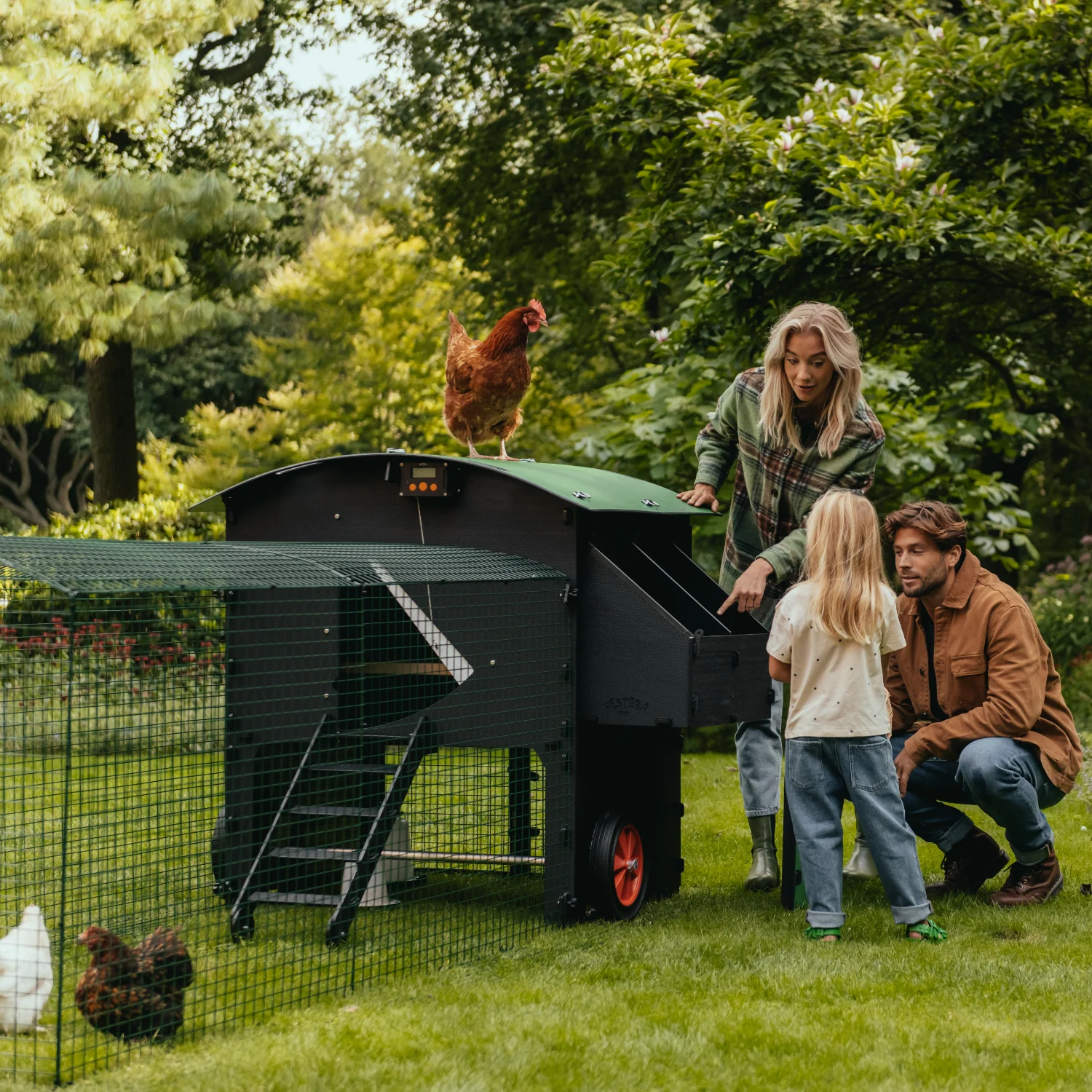 Nestera Penthouse Large afbeelding 8