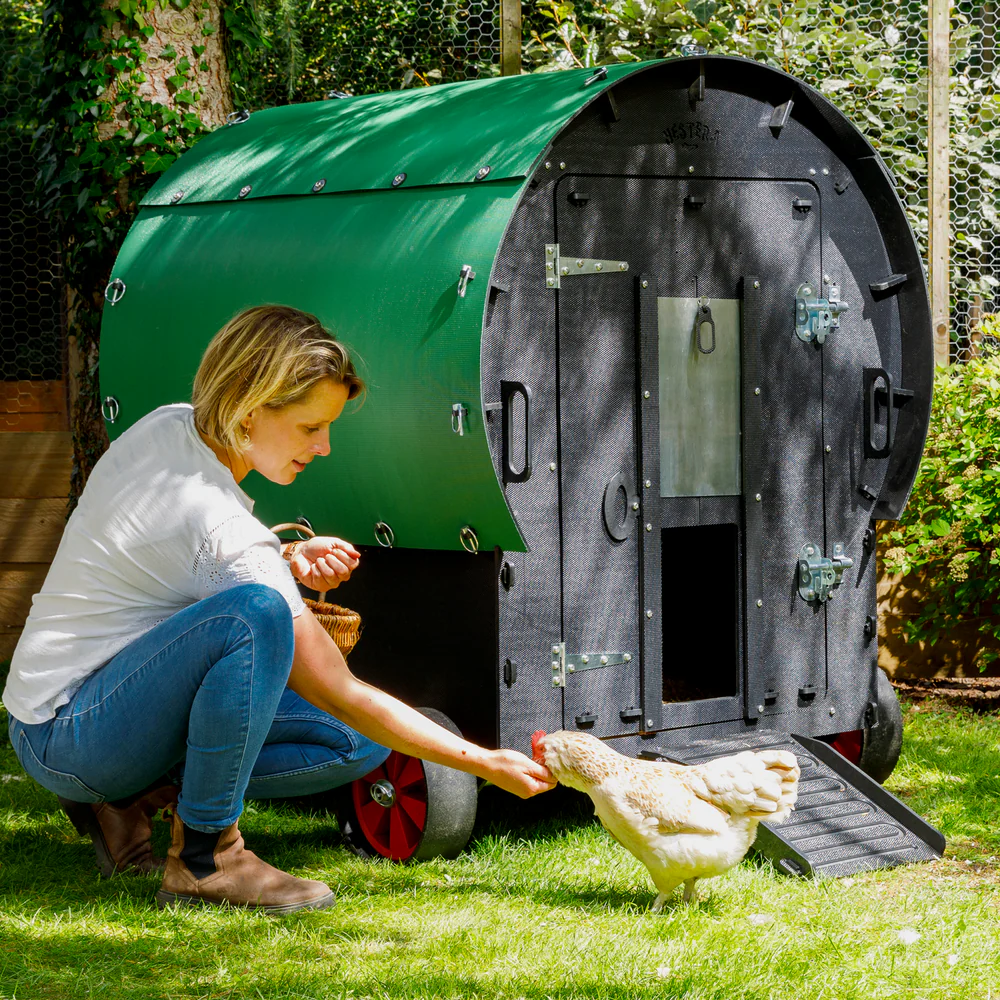 Nestera Wagon afbeelding 2