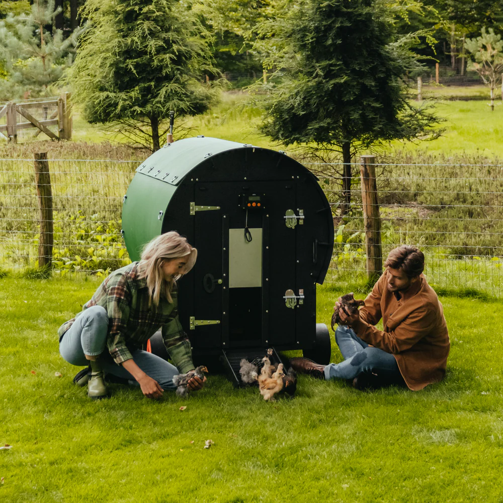 Nestera Wagon afbeelding 4