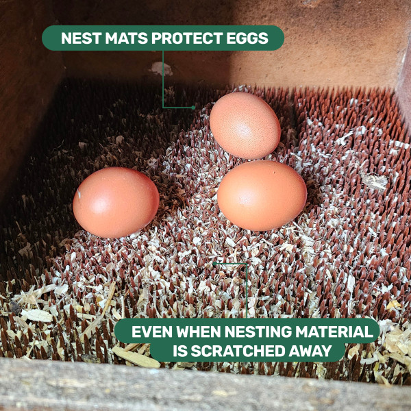 Nestmatje bruin afbeelding 3