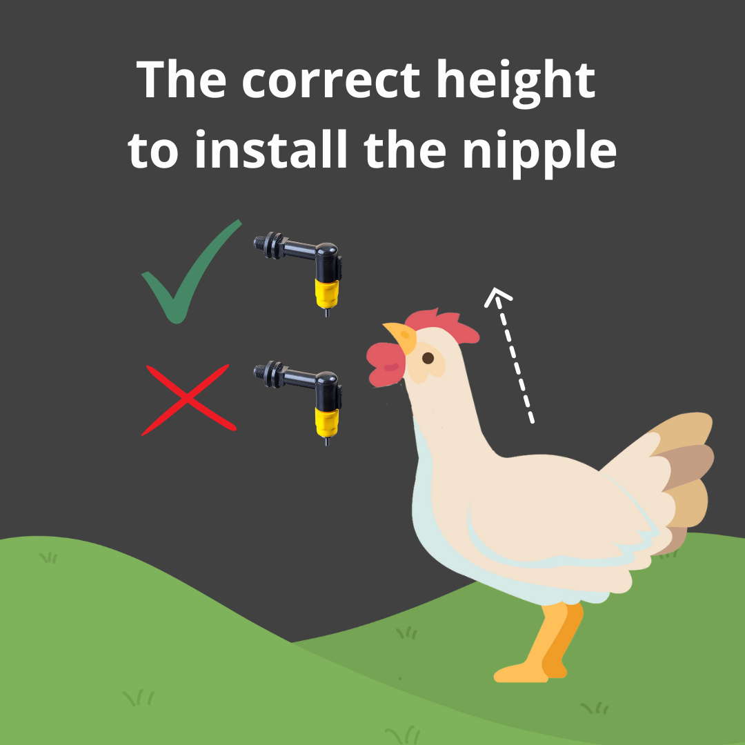 Nippelemmer 12L afbeelding 6