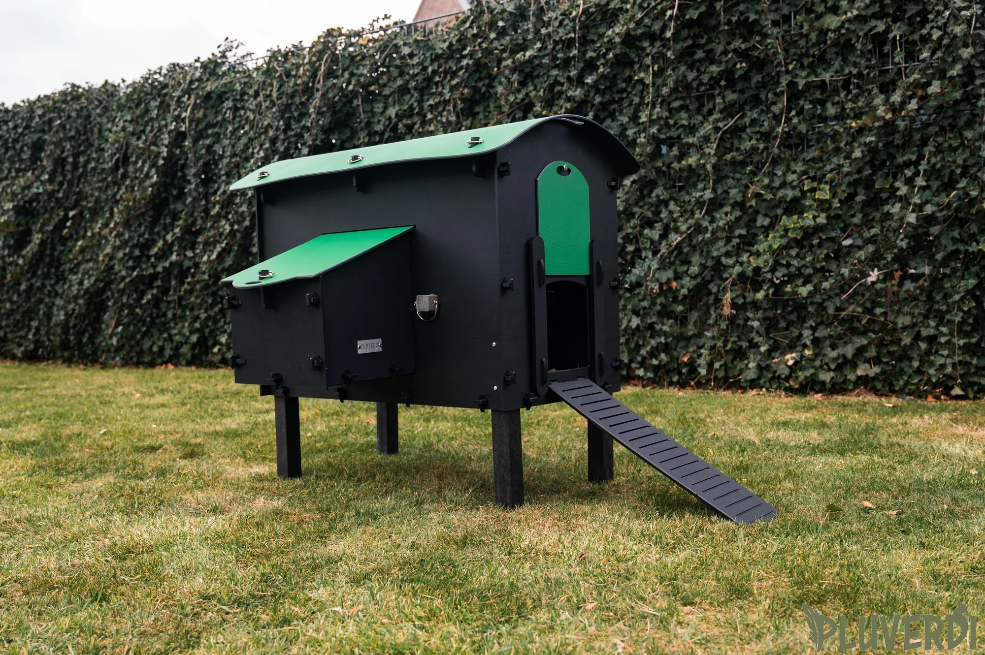 Pluverdi Amsterdam afbeelding 3