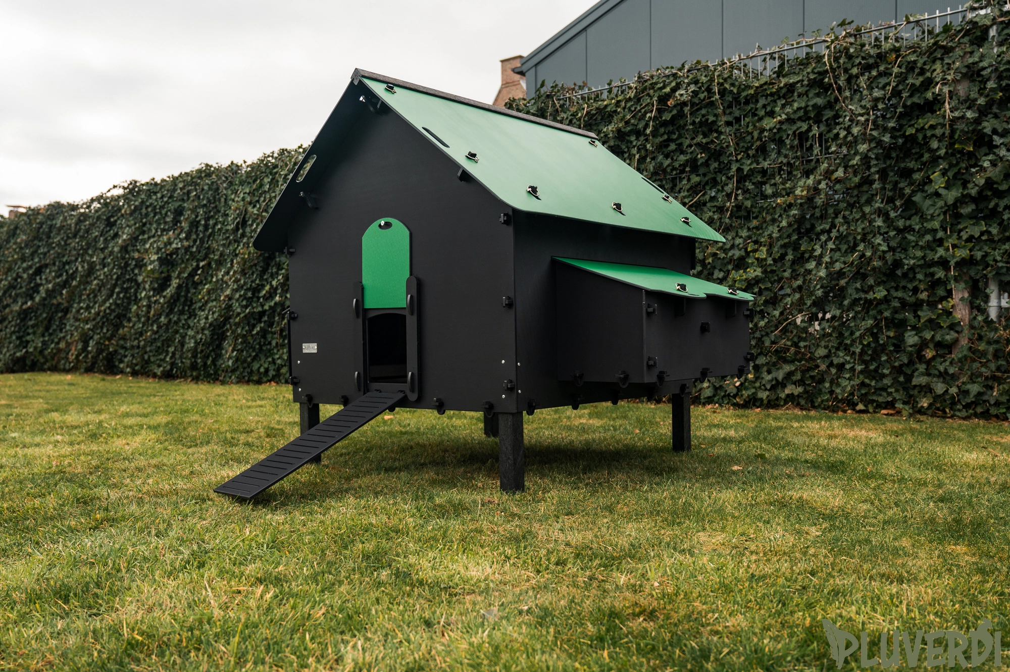 Pluverdi Brussel afbeelding 3