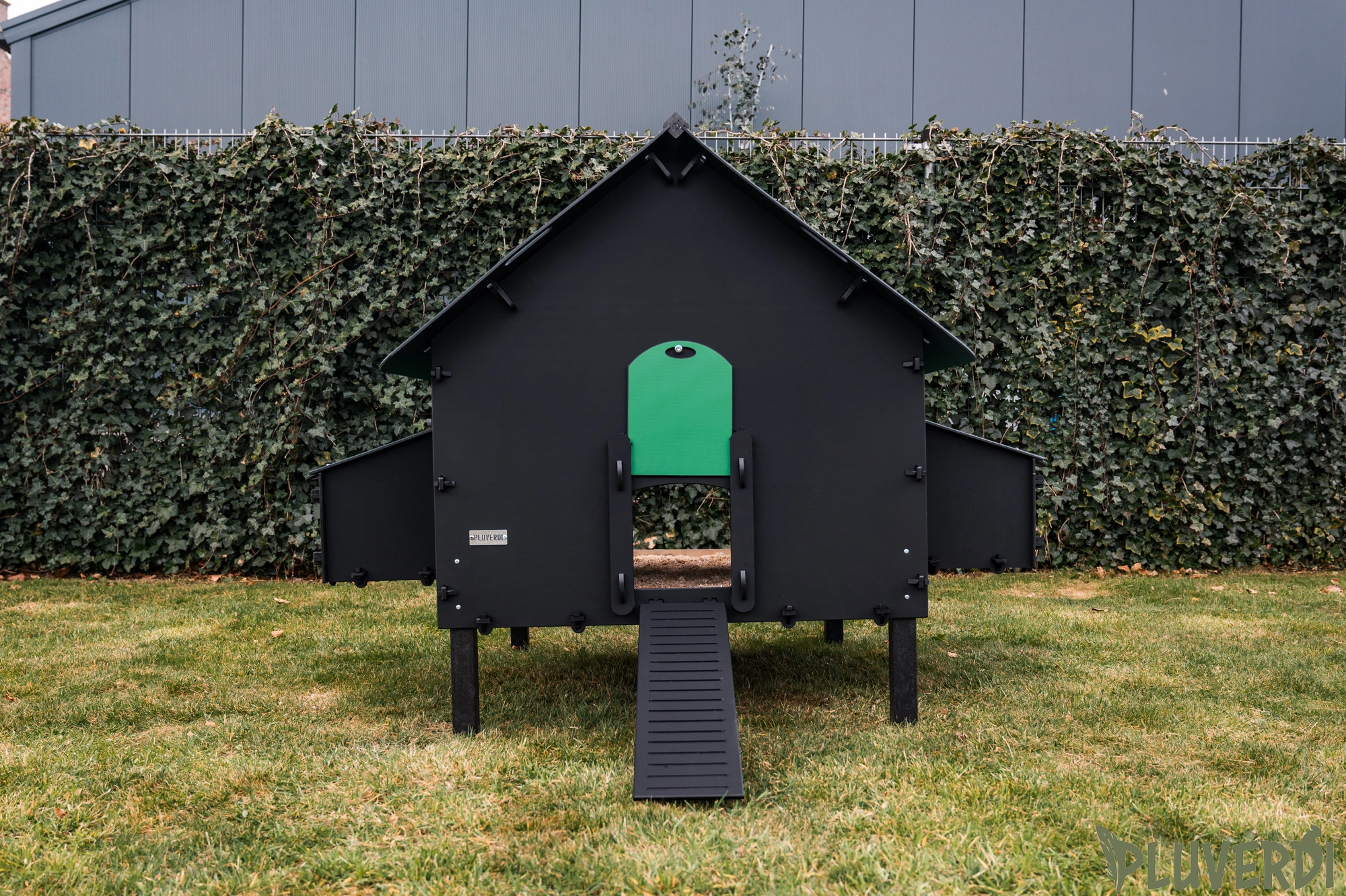 Pluverdi Brussel afbeelding 4