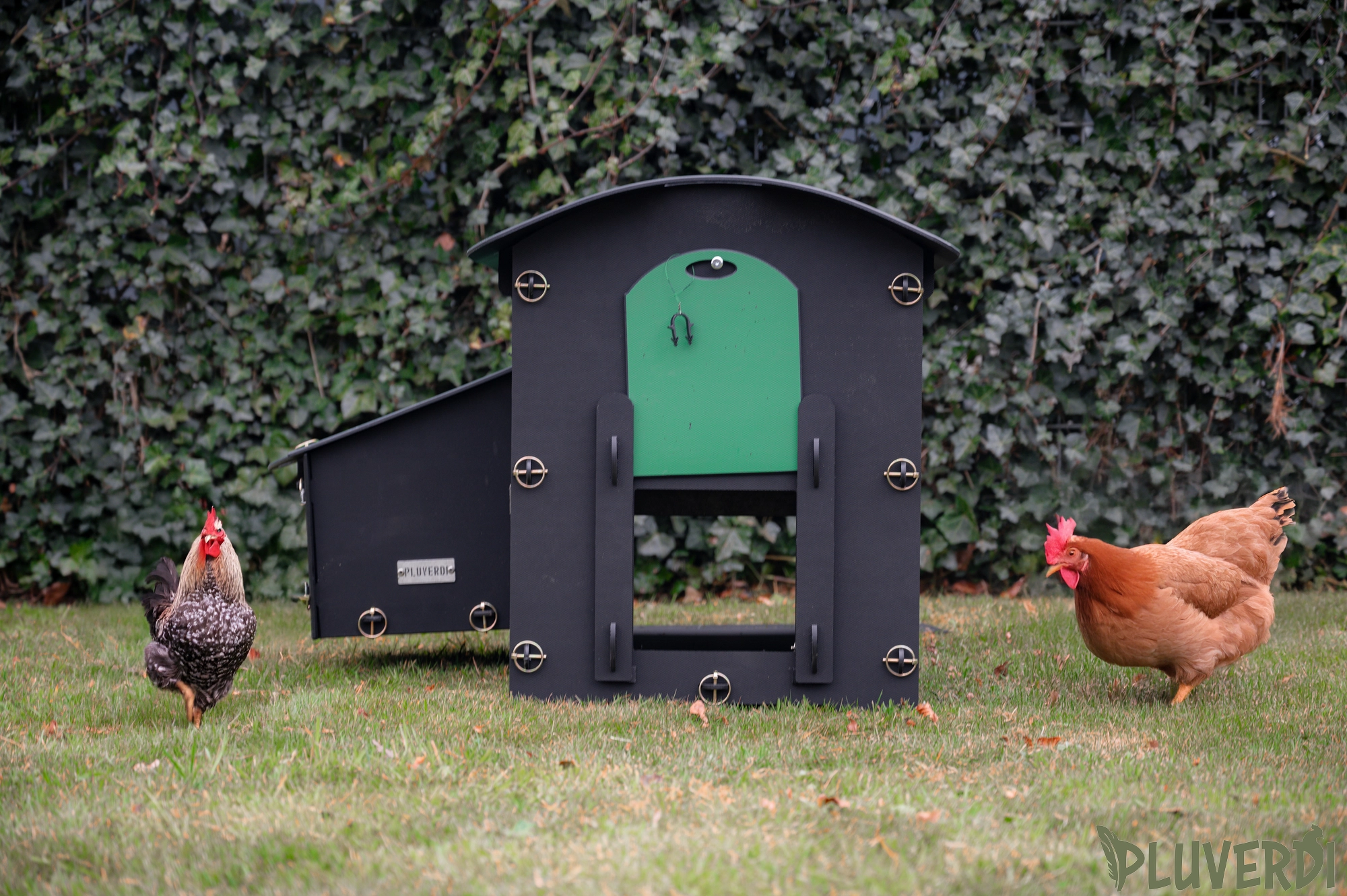 Pluverdi Madrid afbeelding 2