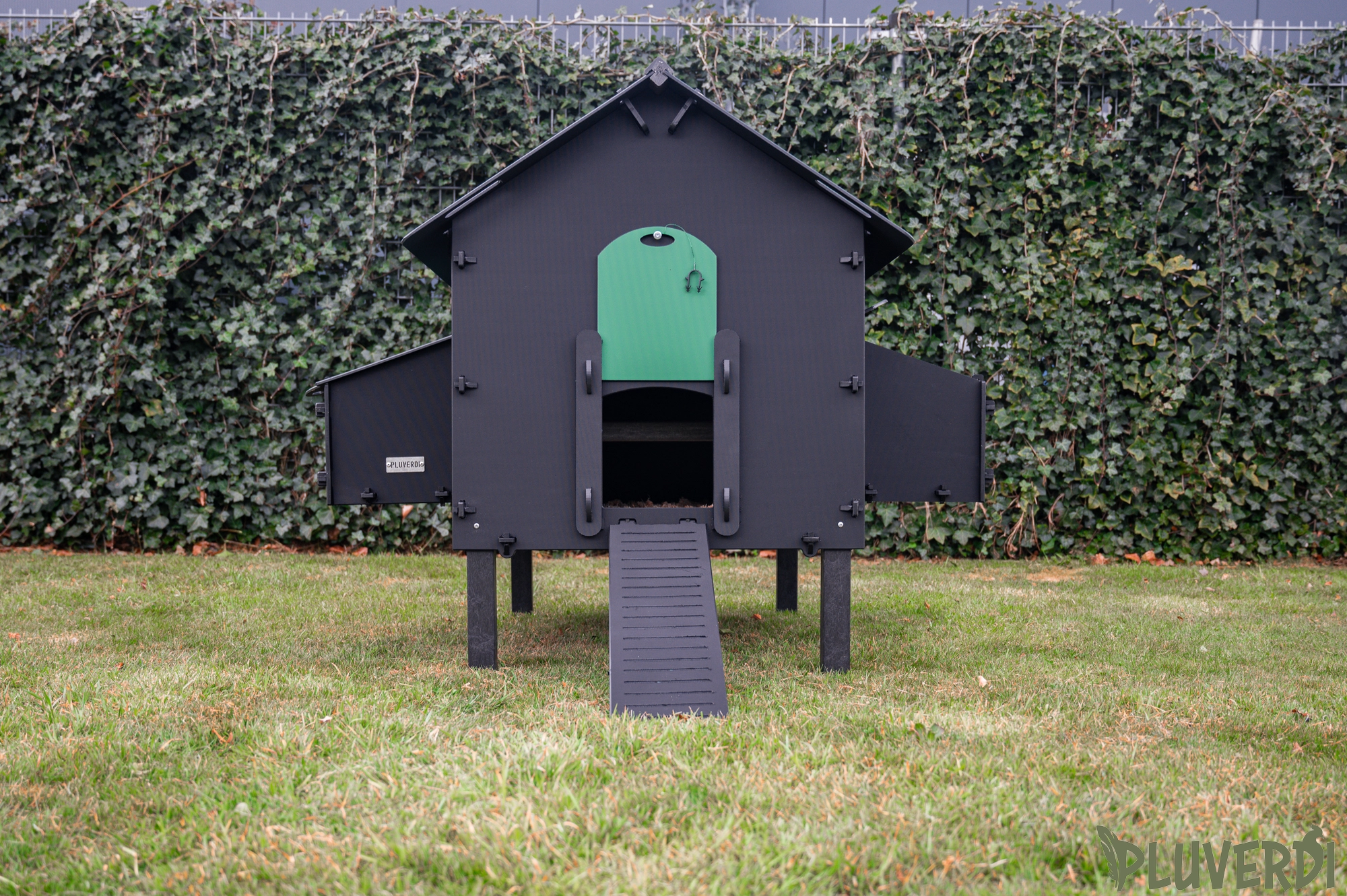 Pluverdi Paris afbeelding 4