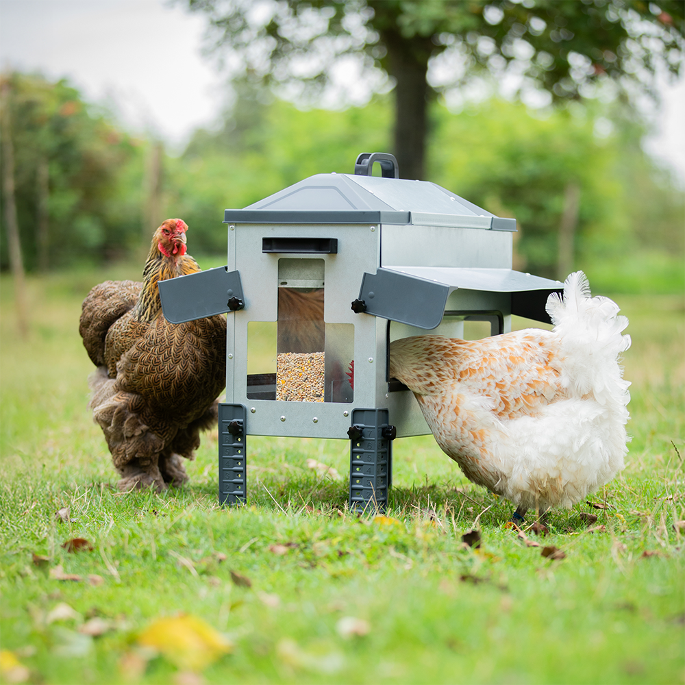 Robust voerbak 12 KG Open afbeelding 3