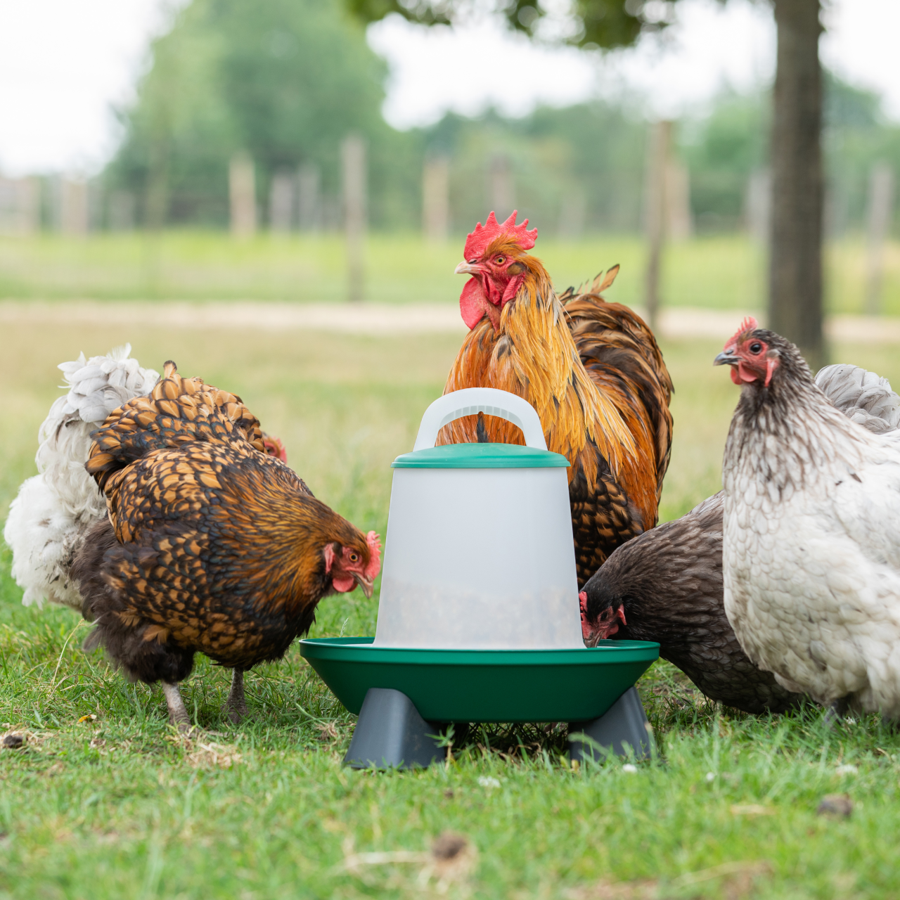 Voersilo 2-level 3 KG Groen afbeelding 9